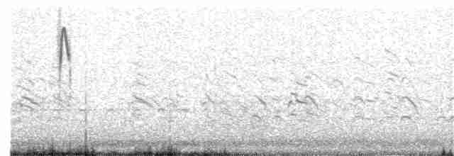 Щеврик пампасовий - ML330121851