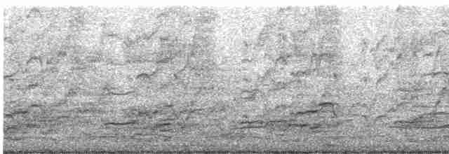 Grand Cormoran (lucidus) - ML330130521