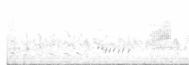 Aquatic Warbler - ML330169801