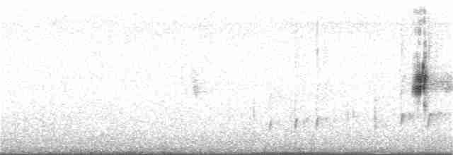 Eastern Meadowlark - ML330194181