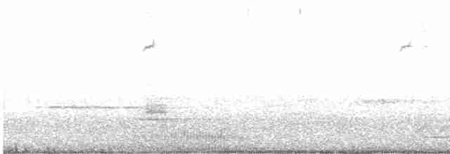 Jamaika Arı Kolibrisi - ML330219411