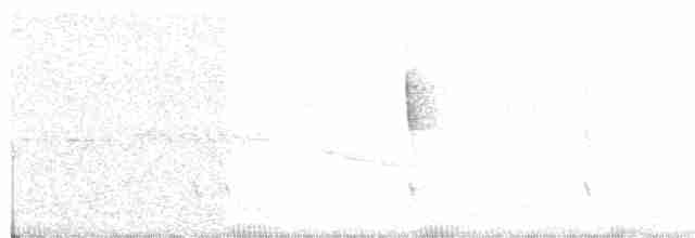 Болотянка чорногорла - ML33024851