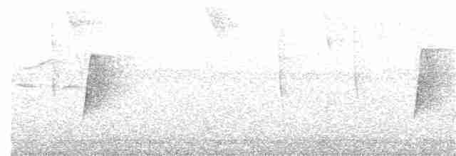Acadian Flycatcher - ML330256301