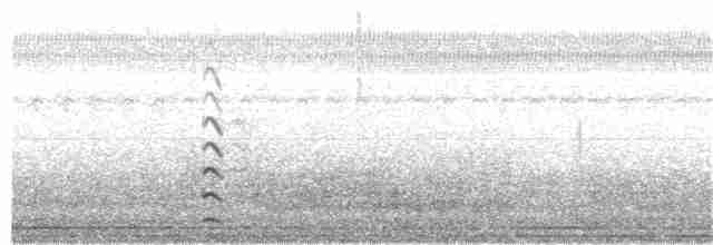 Курочка плямистобока - ML330358911