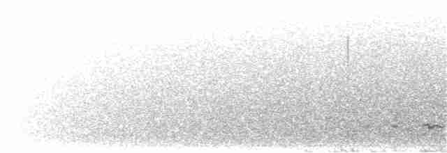 Kıvrık Gagalı Çöpçü [curvirostre grubu] - ML330373371