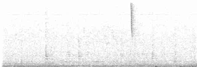 Каллиопа-звёздочка - ML330389241