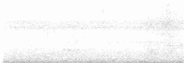 Chiriqui Quail-Dove - ML330418551