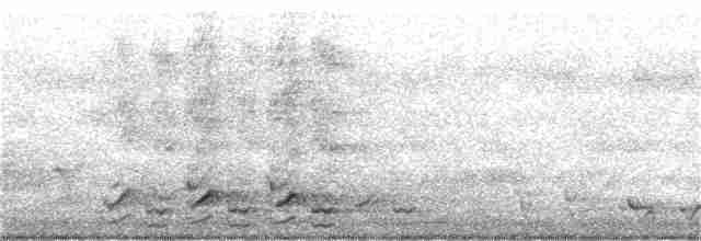Kara Kasapkuşu - ML330453011