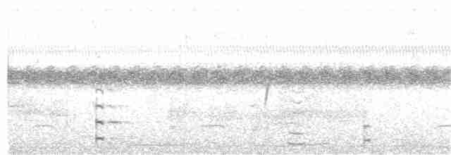 Gallinule à face noire - ML330497651