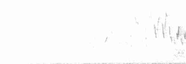 Домовый крапивник - ML330520131