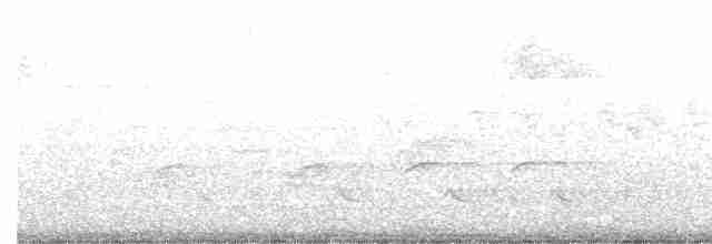 Hooded Warbler - ML330570691