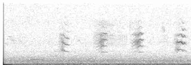 Common Reed Warbler (Caspian) - ML330966551