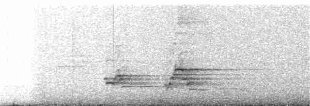 Kuzeyli Benekli Bülbül Ardıcı - ML330972621