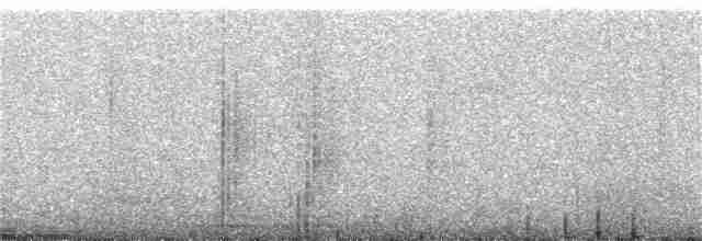 Kuzeyli Bükük Gagalı Tiran - ML330978171
