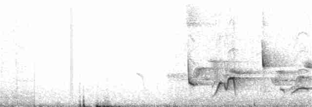 Gri Göğüslü Çıtkuşu - ML330981911