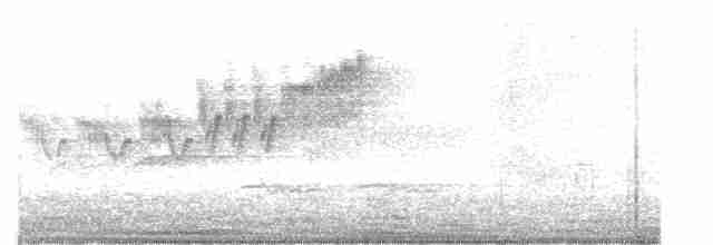 Cerulean Warbler - ML331031411
