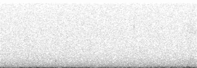 Cuitlacoche Ocelado - ML331109221