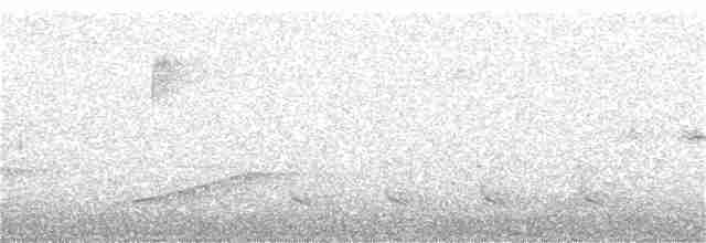 Prairie Warbler - ML331171091