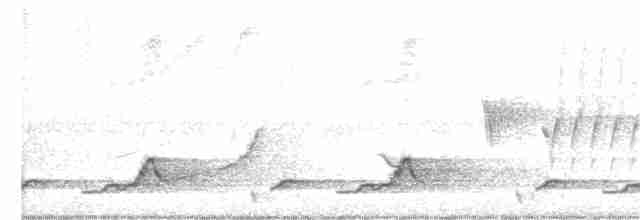 Schwarzkehl-Nachtschwalbe - ML331233281