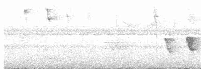 Uzun Kuyruklu Karıncakuşu - ML331247881