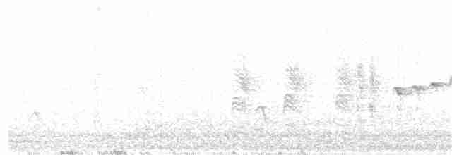 Кропив’янка єменська - ML331255401