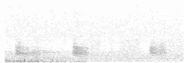 Кропив’янка єменська - ML331255431