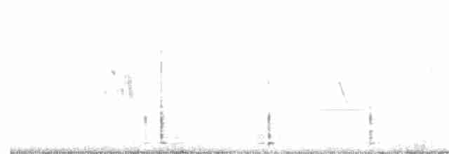 Аравийский жаворонок - ML331261001