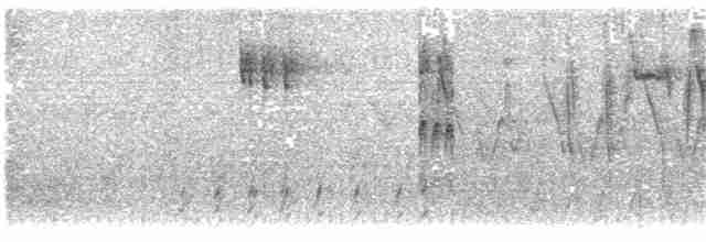 Gri Tepeli Baştankara - ML331265281