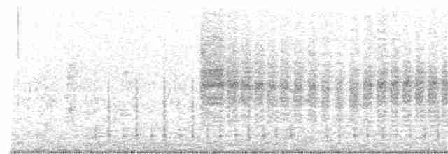 Lesser Whitethroat (halimodendri) - ML331276191