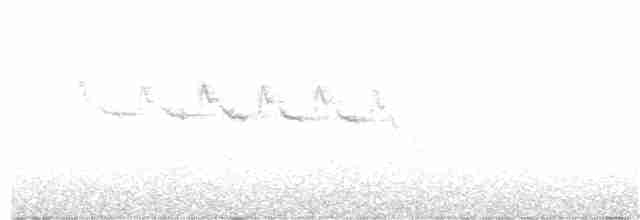 Reinita Palmera (hypochrysea) - ML331301241