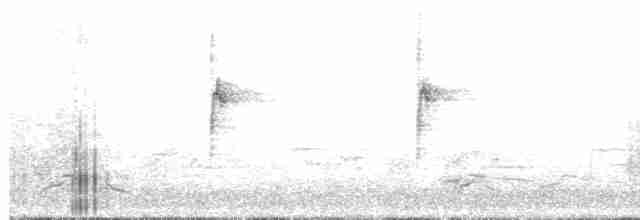 Белогорлая зонотрихия - ML331305481