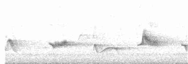 Kara Kanatlı Piranga - ML331363061