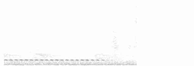 Восточноамериканская совка - ML331393001