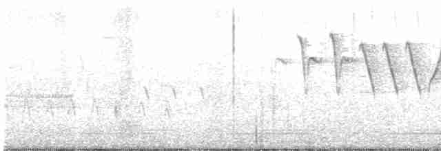 Yellow Warbler (Northern) - ML331405461