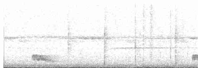 Ohrennachtschwalbe - ML33140771