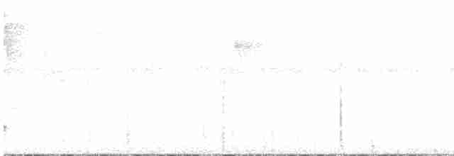 Güneyli Bükük Gagalı Tiran - ML331506491