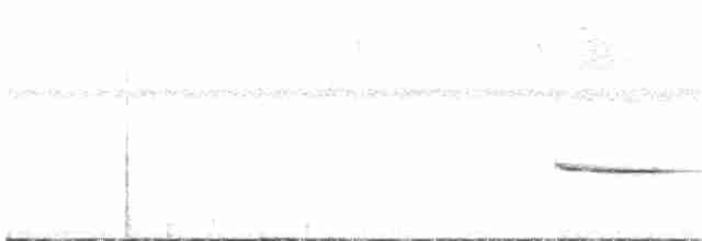 Çizgili Gerdanlı Çıtkuşu - ML331511621