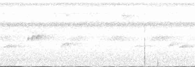Conirostre oreillard - ML331519311