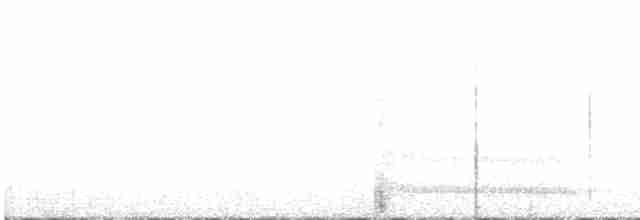 Güneyli Bükük Gagalı Tiran - ML331526611