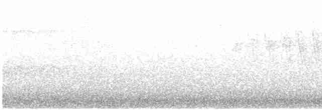 Black-throated Gray Warbler - ML331549361