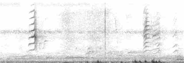 白胸燕鵙 - ML331621671