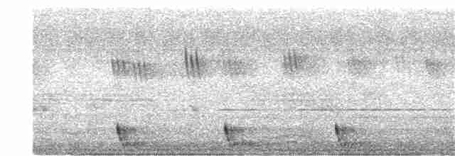 Large-tailed Nightjar - ML331624921