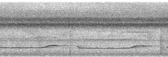 Полосатый зимородок - ML33164