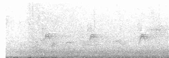 Тремблер прямодзьобий - ML331654981