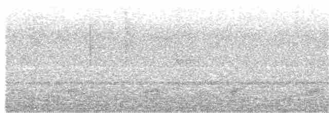 Northern Black-throated Trogon - ML331666101