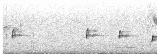 Fork-tailed Drongo-Cuckoo - ML331965661
