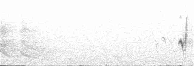 Western Orphean Warbler - ML331978621