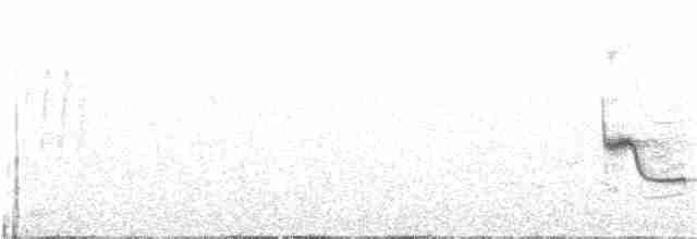 Western Orphean Warbler - ML331978641