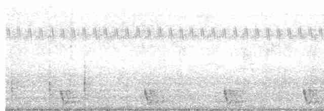 Large-tailed Nightjar - ML332006511