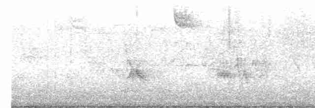 Evening Grosbeak (type 3) - ML332161011